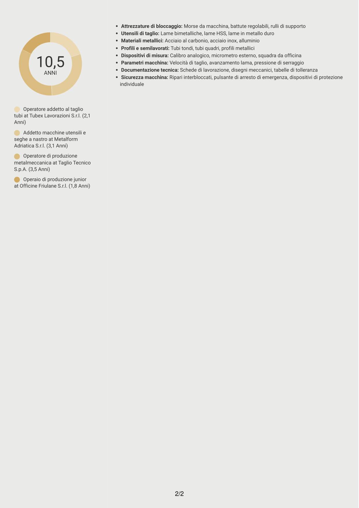 CV Dinamico (formato a due colonne con icone): Operatore di produzione - Taglio tubi, pagina 2