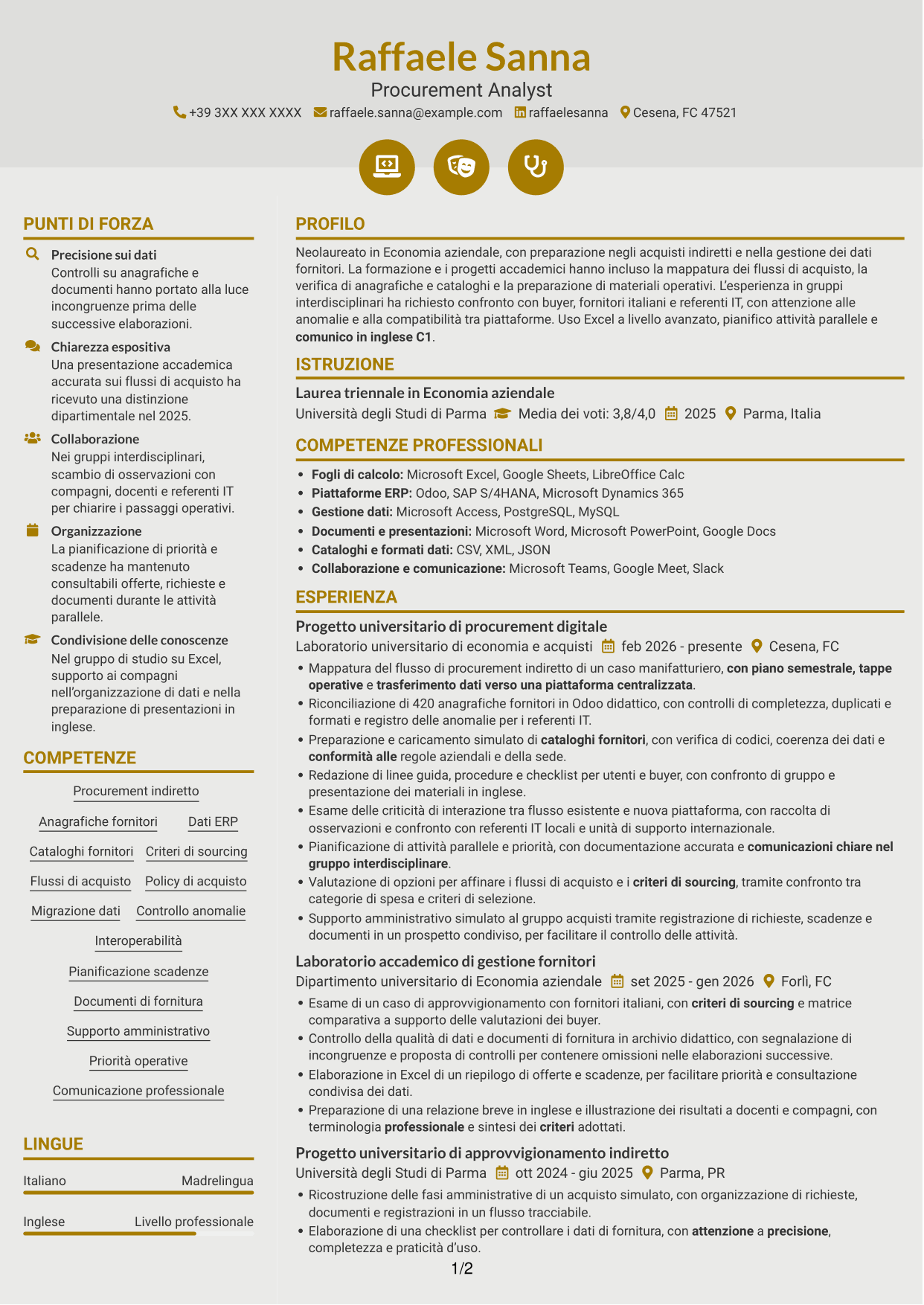 CV Dinamico (formato a due colonne con icone): Procurement Analyst - Sistemi di procurement digitale, pagina 1
