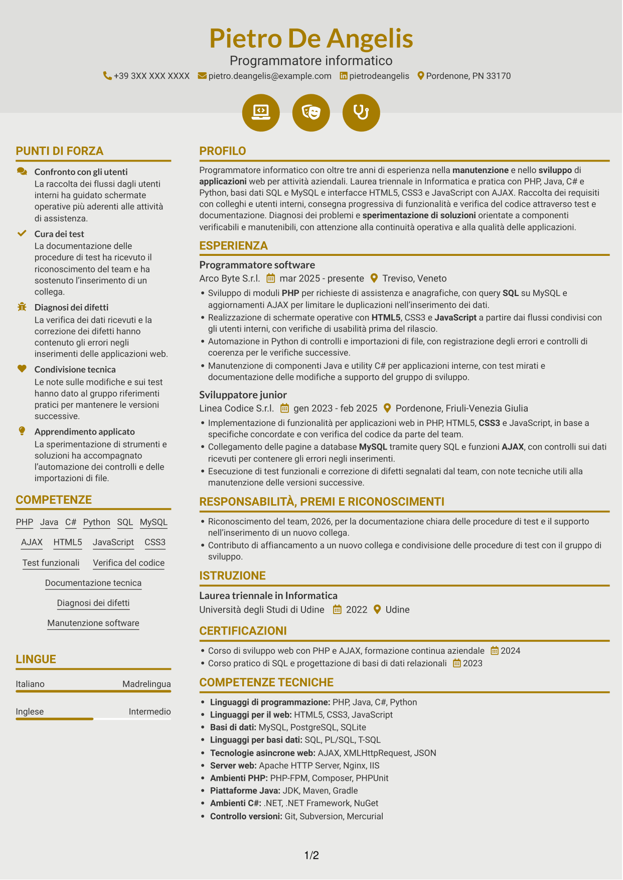 CV Dinamico (formato a due colonne con icone): Programmatore informatico, pagina 1