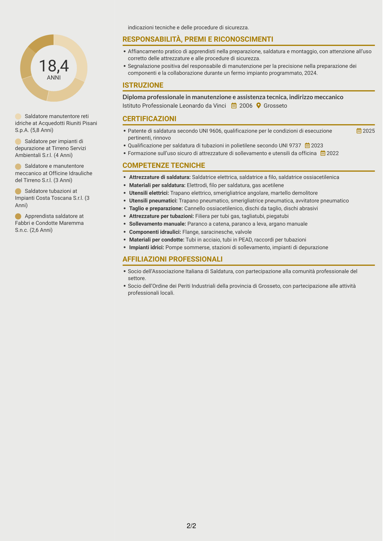 CV Dinamico (formato a due colonne con icone): Saldatore - Reti e impianti idrici, pagina 2