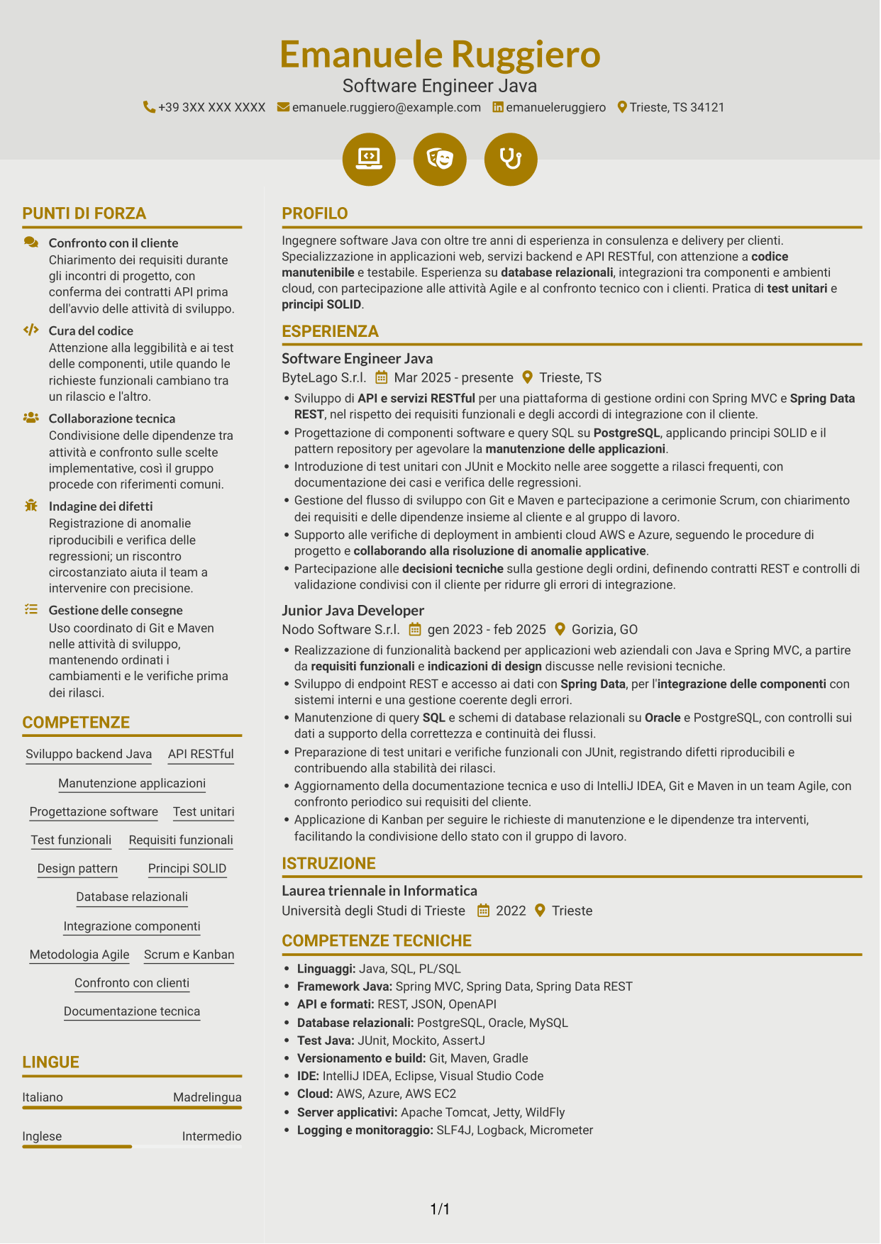 CV Dinamico (formato a due colonne con icone): Software Engineer - Java o .NET, pagina 1