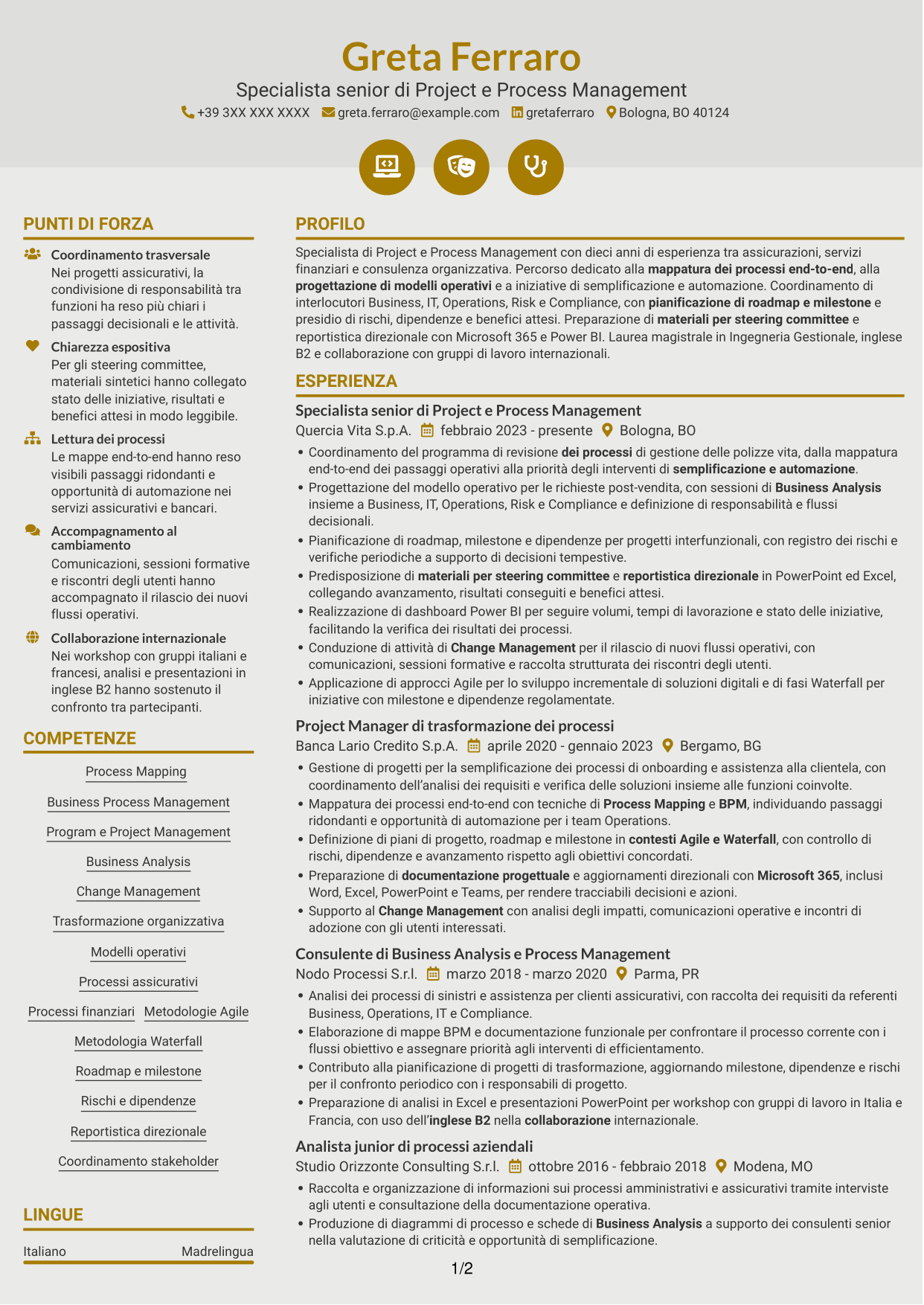 CV Dinamico (formato a due colonne con icone): Specialista di Project e Process Management - Processi assicurativi, pagina 1
