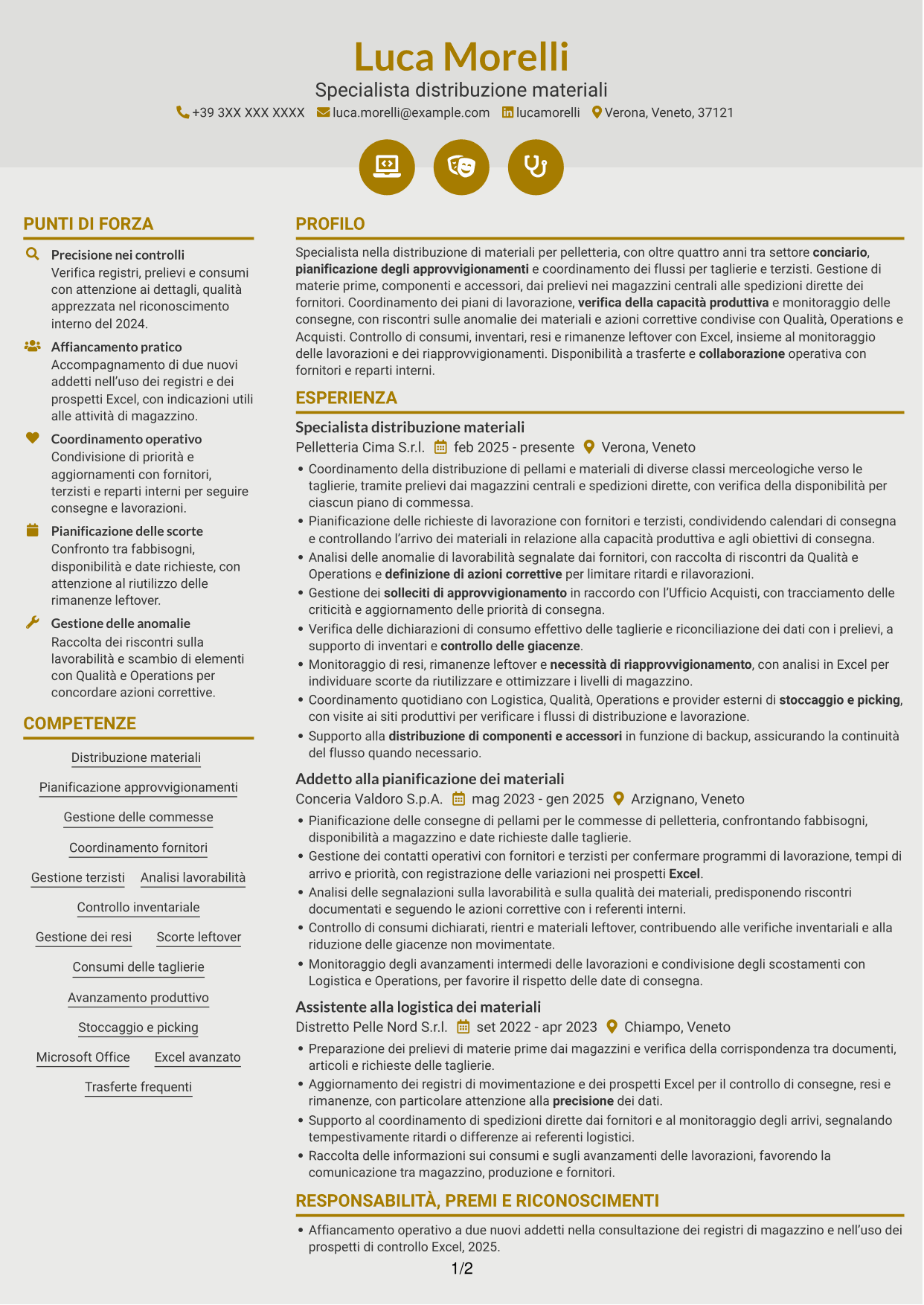 CV Dinamico (formato a due colonne con icone): Specialista distribuzione materiali per pelletteria, pagina 1