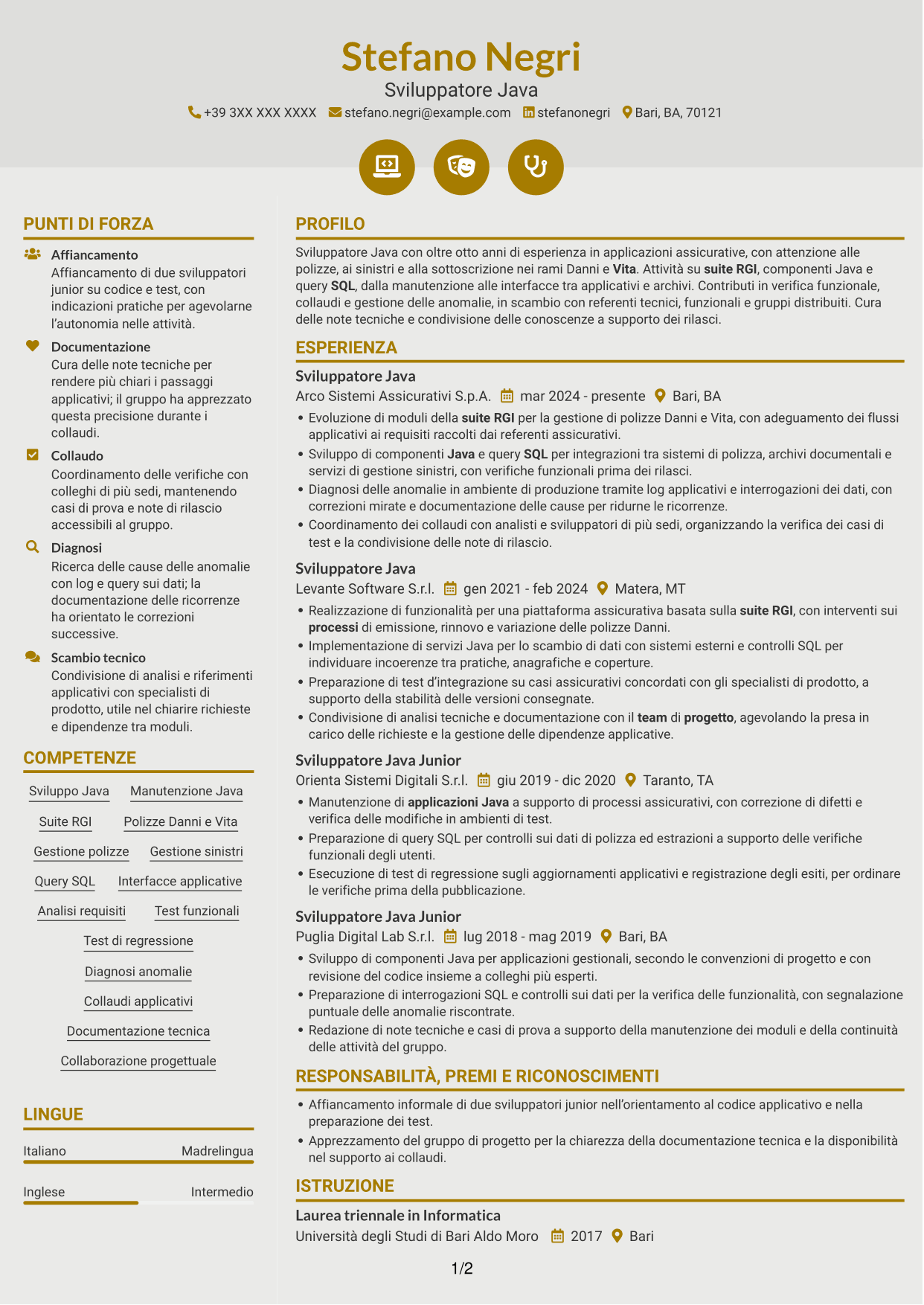 CV Dinamico (formato a due colonne con icone): Sviluppatore Java - Applicazioni assicurative, pagina 1