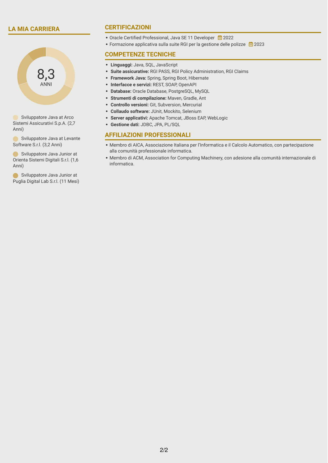 CV Dinamico (formato a due colonne con icone): Sviluppatore Java - Applicazioni assicurative, pagina 2