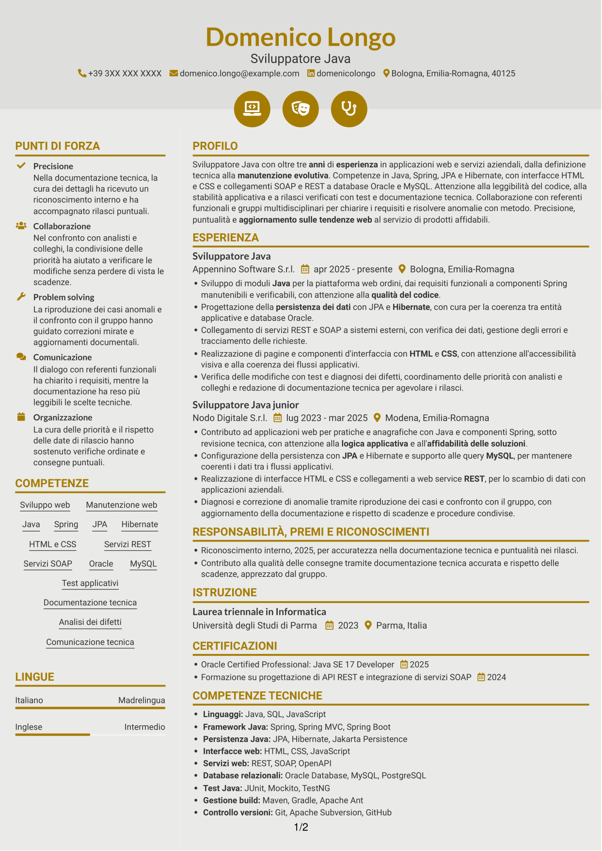 CV Dinamico (formato a due colonne con icone): Sviluppatore Java - Applicazioni web, pagina 1