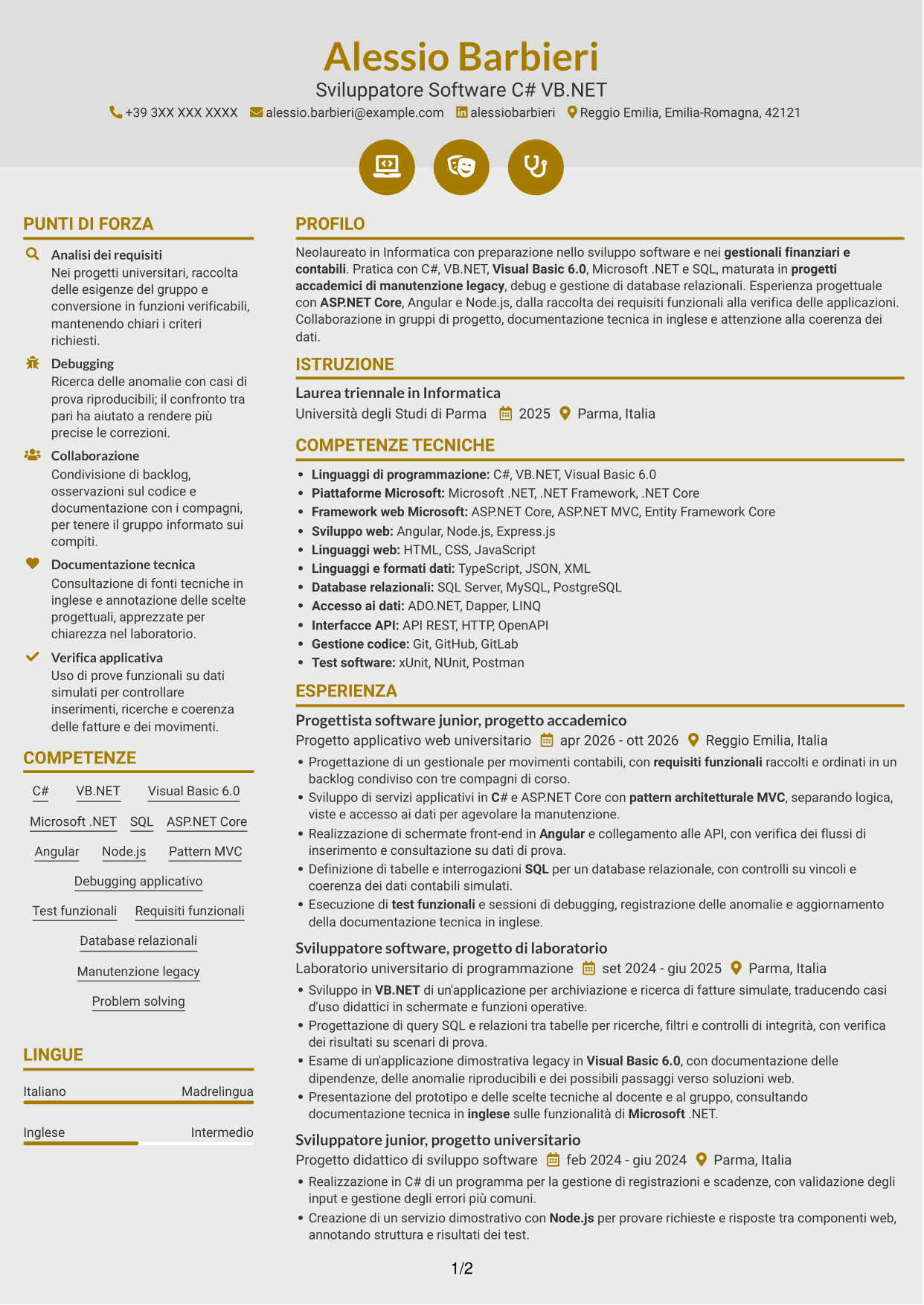 CV Dinamico (formato a due colonne con icone): Sviluppatore Software C# VB.NET, pagina 1