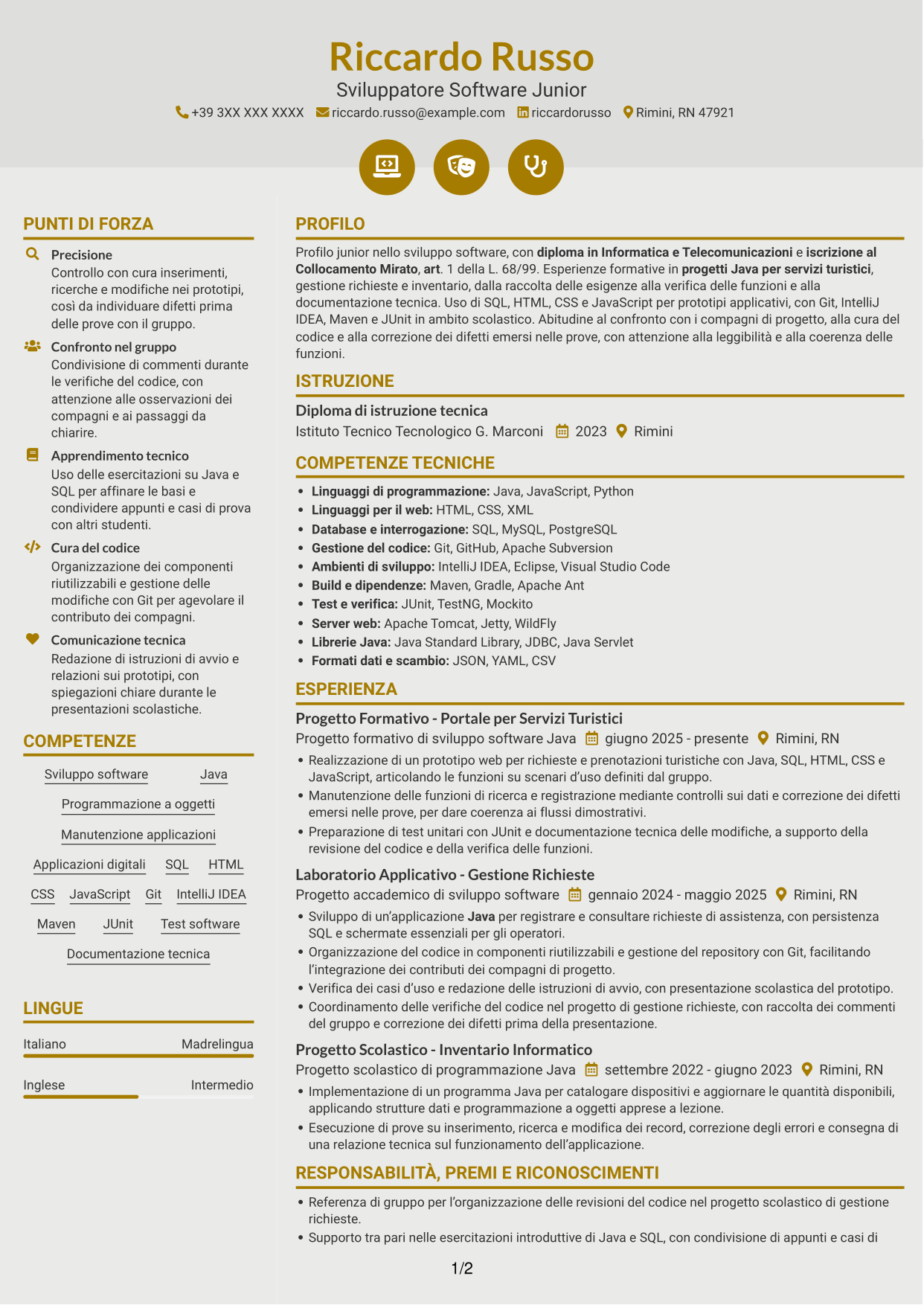 CV Dinamico (formato a due colonne con icone): Sviluppatore Software Junior - Java, pagina 1
