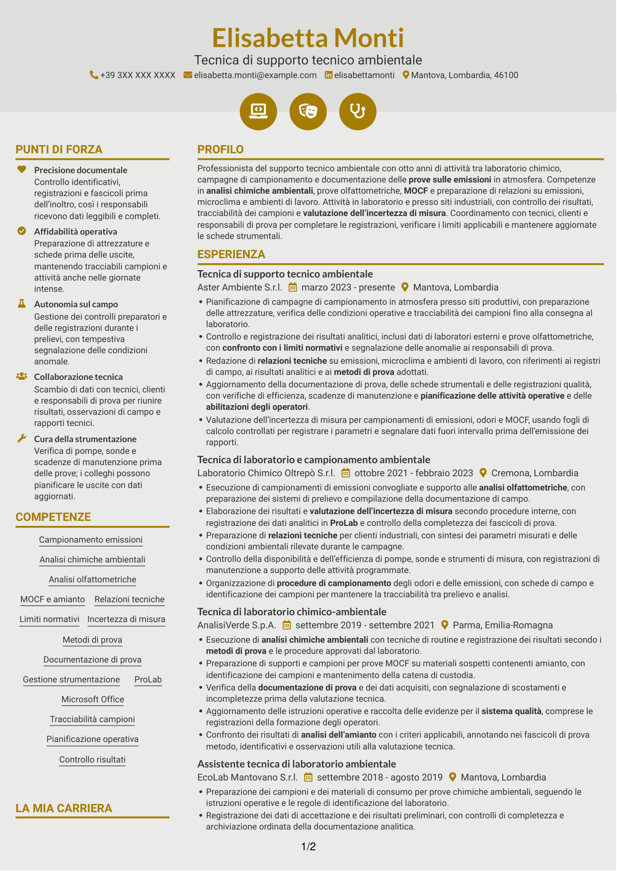 CV Dinamico (formato a due colonne con icone): Tecnico di supporto tecnico sul campo - Emissioni in atmosfera, pagina 1