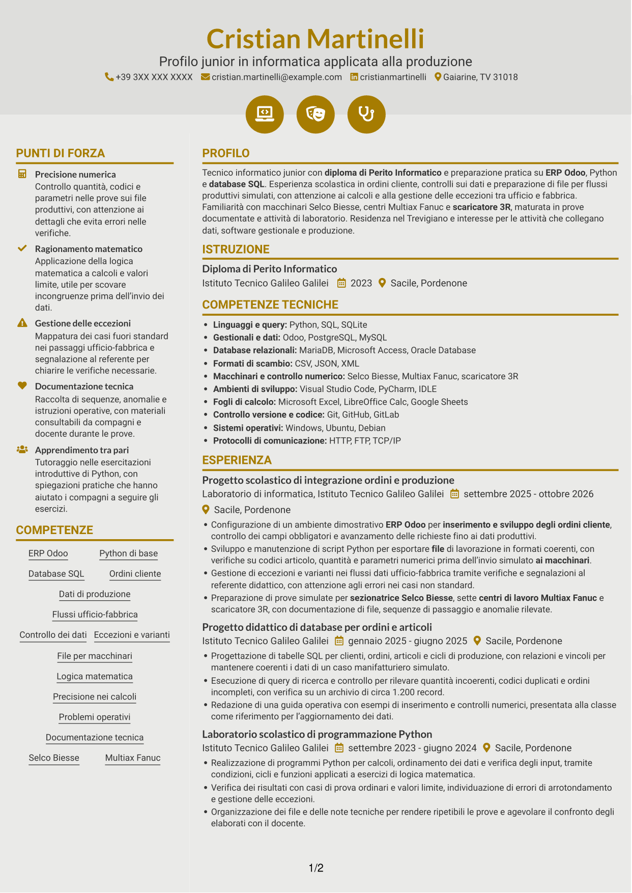 CV Dinamico (formato a due colonne con icone): Tecnico informatico junior - Ordini e dati di produzione, pagina 1