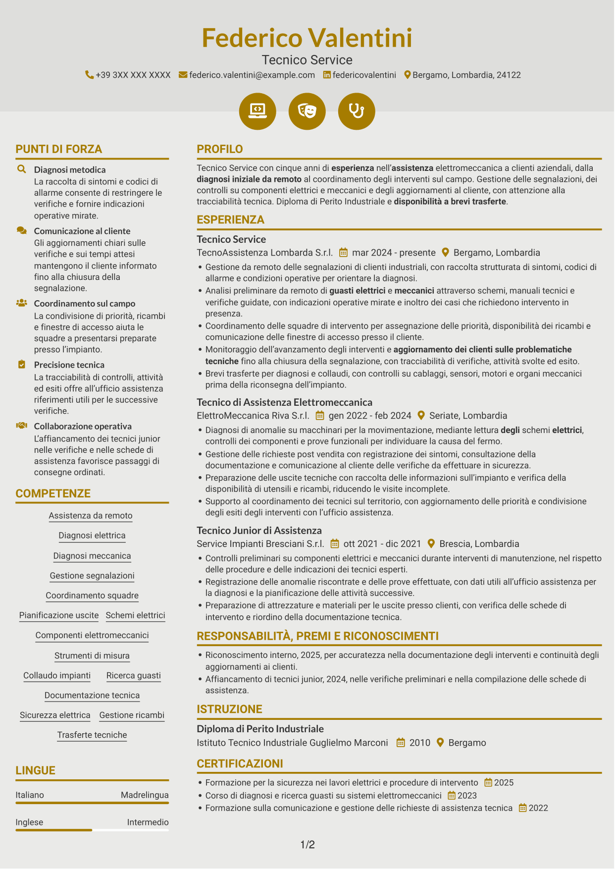 CV Dinamico (formato a due colonne con icone): Tecnico Service - Assistenza elettromeccanica, pagina 1