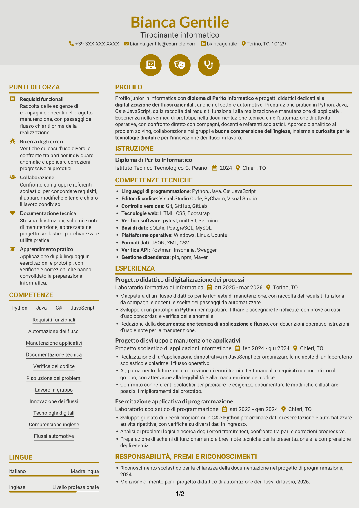 CV Dinamico (formato a due colonne con icone): Tirocinante informatico - Digitalizzazione dei processi informatici, pagina 1