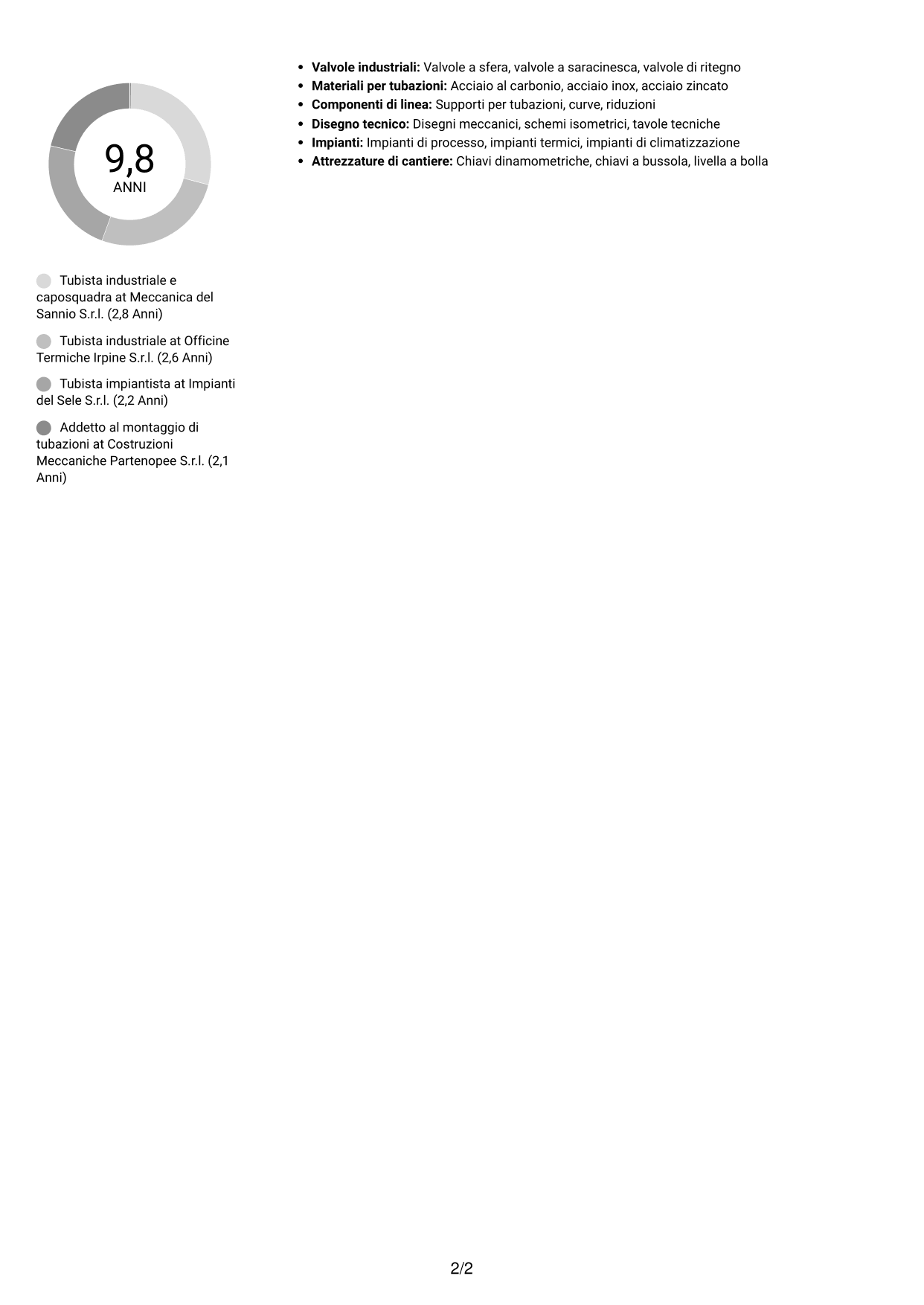 CV Compatto (formato sobrio a due colonne con foto): Tubista Industriale, pagina 2