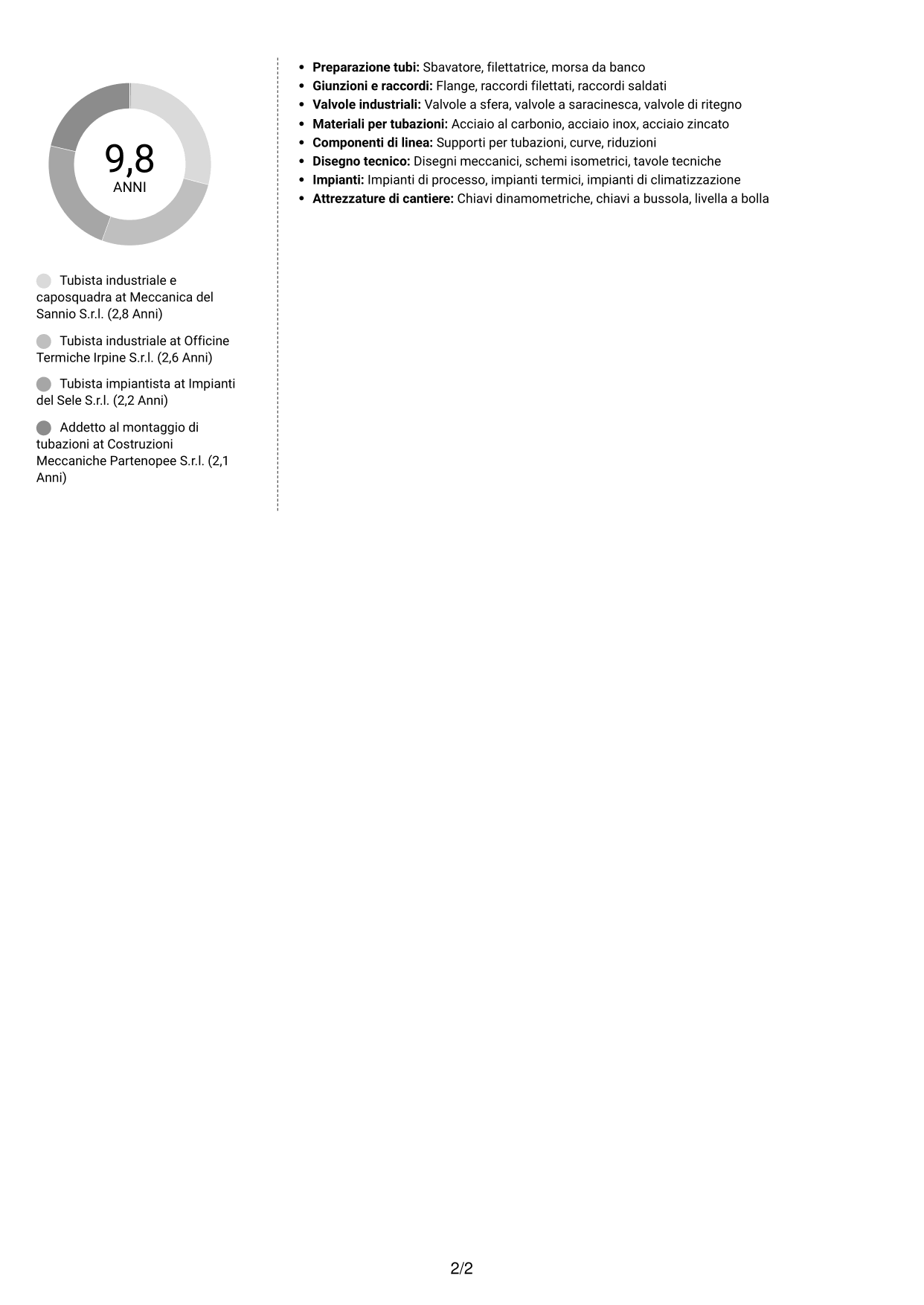 CV Moderno (formato a due colonne con foto a sinistra e separatore): Tubista Industriale, pagina 2