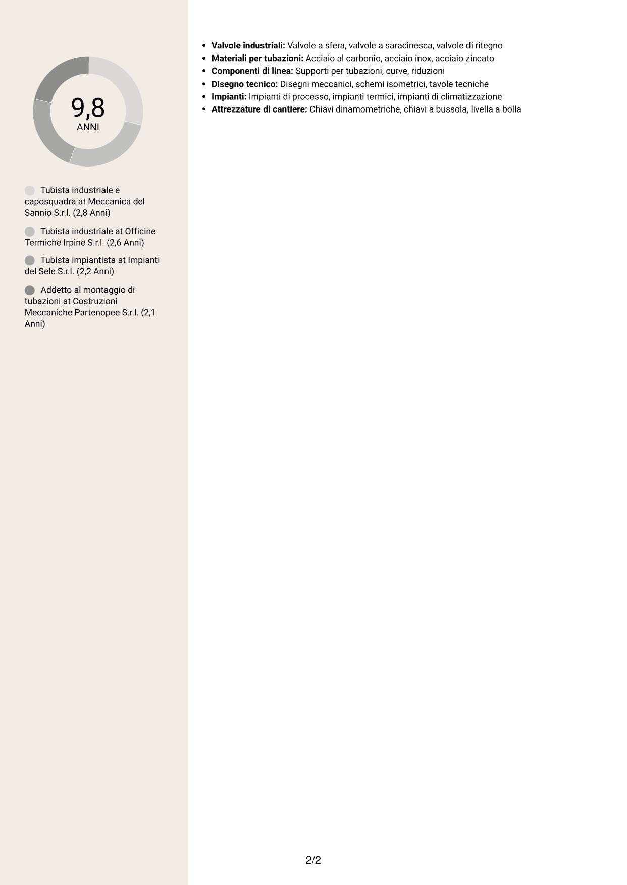 CV Intraprendente (formato a due colonne con intestazione centrata senza foto): Tubista Industriale, pagina 2