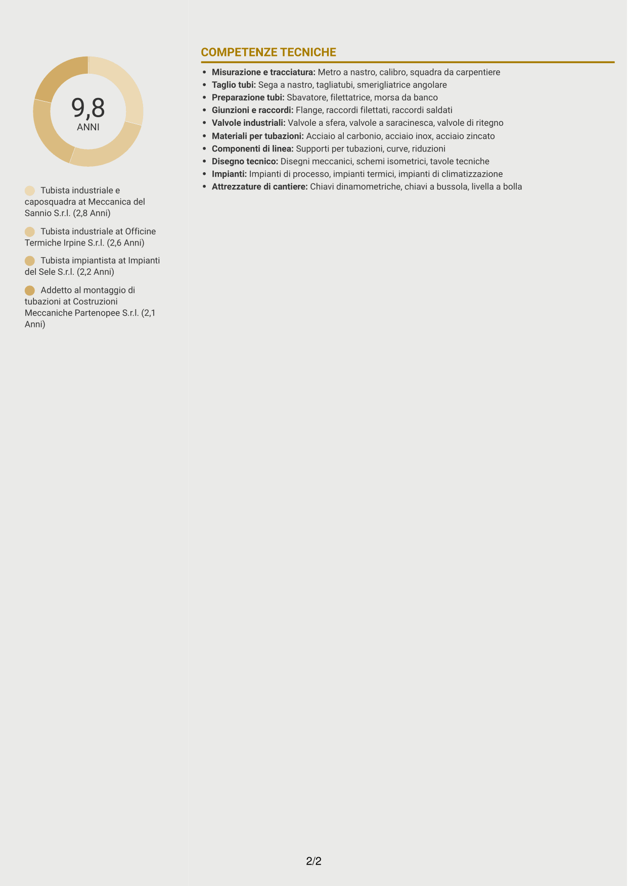 CV Dinamico (formato a due colonne con icone): Tubista Industriale, pagina 2
