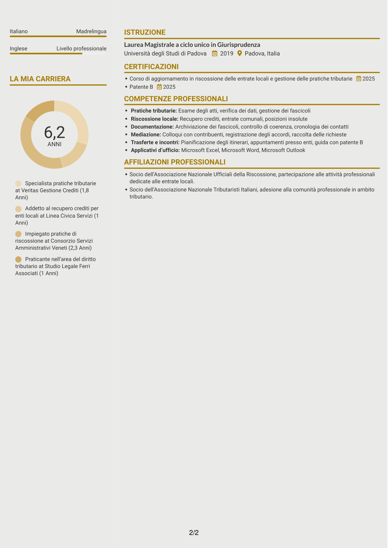 CV Dinamico (formato a due colonne con icone): Ufficiale della Riscossione - Recupero del Credito Tributario, pagina 2