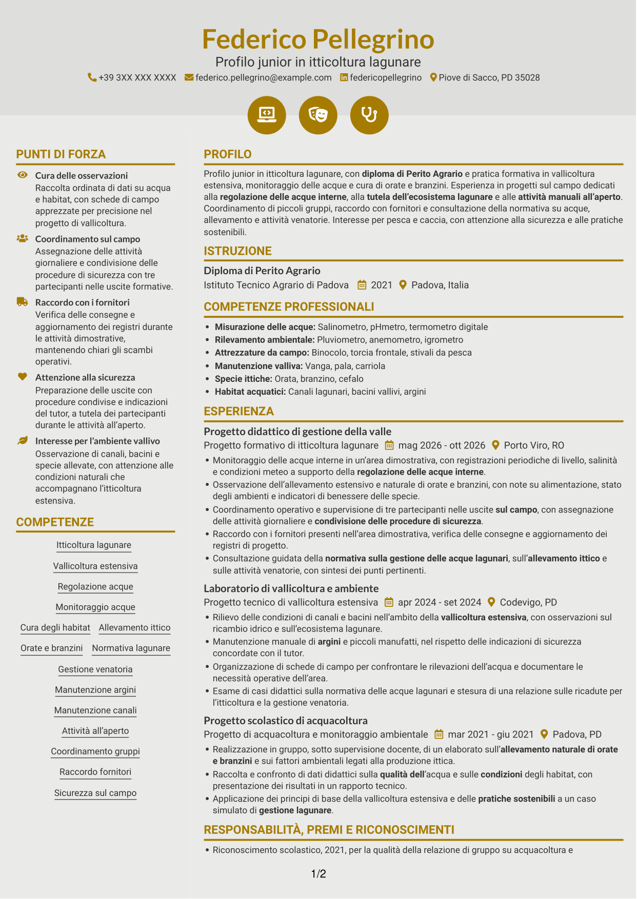 CV Dinamico (formato a due colonne con icone): Vice capo valle - Itticoltura lagunare, pagina 1